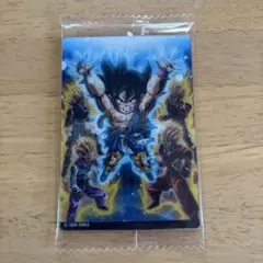 イタジャガ ドラゴンボール vol.9　レア　R　9-24