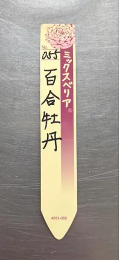 紅手鞠 札のみ ミックスベリア おらいさん苗 多肉植物 - メルカリ