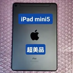 超美品　iPad mini 第5世代　Wi-Fi＋Cellularモデル