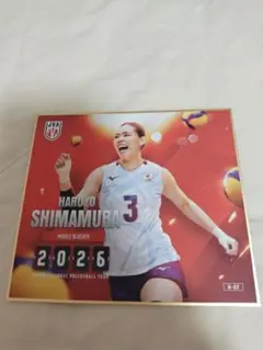 バレーボール女子日本代表 2026 mini色紙 岩澤実育 ノーマル - メルカリ
