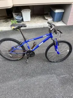 子供用自転車 22インチ SEDONA T.BOLT - メルカリ