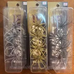 コイケ 17mm　3個　旧コイケ　2個セット コイケ 17mm 3個 旧コイケ 2個セット - メルカリ