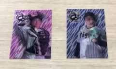 阪神タイガース　選手カード