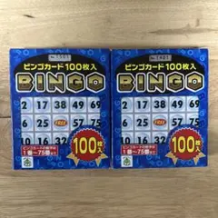 HANAYAMA ビンゴカード 100枚入 2個セット