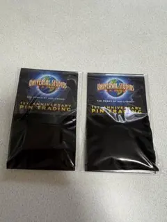 2025年最新】usj ピンバッジ 1周年の人気アイテム - メルカリ