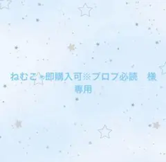 ねむこ✴︎即購入可※プロフ必読様専用