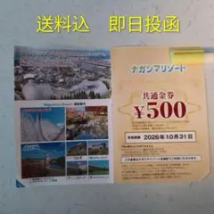 ナガシマリゾート 共通金券 500円分のサムネイル