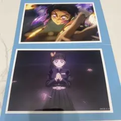 鬼滅の刃　場面写ブロマイド　カナヲ　しのぶ