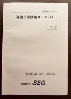 SEG 受験化学演習GH テキスト・オリジナルプリント・板書プリント 中山佳尚 SEG 有機化学 天然高分子・合成高分子 オリジナルプリント 中山佳尚