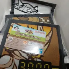 Item thumbnail for item 1c688144-a5fa-492f-a5f0-e339f25dc7e3