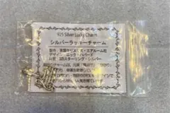 Item thumbnail for item 3cf48bc4-ec2d-4812-91b4-67ea3121ae4d