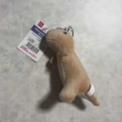 ダイソー　マスコットキーホルダー　恐竜