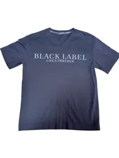 月末限定SALE早い者勝ち❗️ブラックレーベルクレストブリッジ VネックTシャツMのサムネイル