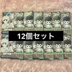 HUNTER×HUNTER ハンターハンター　コレクション缶バッジ　ジャンフェス