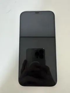 Apple iPhone 12 Pro Max 本体