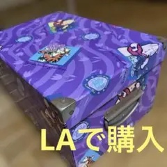 ディズニー　　くまのプーさん　　ボックス　　レア