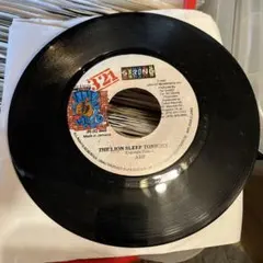 ARP THE LION SLEEPS TONIGHT