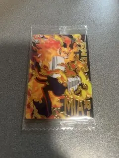 ヒロアカウエハース4 エンデバーSR