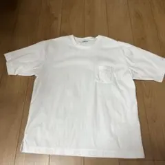グリーンレーベルリラクシング　オーガニック ポンチ クルーネック Tシャツ　XL