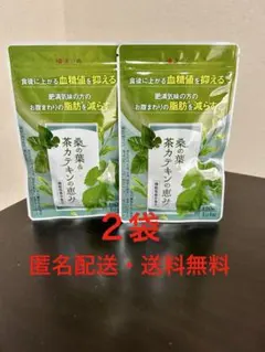 新品未開封品 和漢の森 桑の葉&茶カテキンの恵み 120粒入 2袋セット