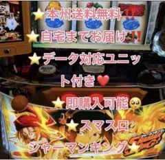 R様専用 データカウンター対応ユニット付き スマスロ L