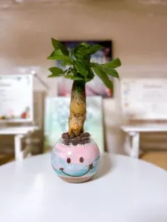 カラーサンドアート　オーダーページ