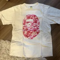 Item thumbnail for item f193cfba-5cb1-41d1-b1c7-67fa3d0b0d6b