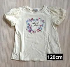 anyFAM 120サイズ 半袖 Tシャツ 刺繍 花柄 猫のサムネイル