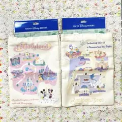 ⭐️ディズニーリゾート テーマポートトートバッグ2点セット【新品未使用】