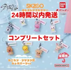 skzoo スキズ ガチャ ポップアップ めじるしアクセサリー コンプリート⑤