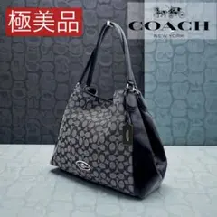 【美品】COACH コーチ エディ ショルダーバッグ シグネチャー 黒系