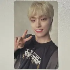 SEVENTEEN ALWAYS YOURS Carat盤 ディノ トレカ