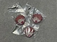 桜蘭高校ホスト部　カプセルヘアクリップ　常陸院光　3点セット