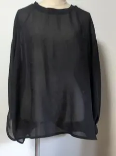 シースルー Tシャツ 黒のサムネイル