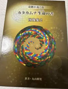 カタカムナ DVD 丸山修寛先生 - メルカリ