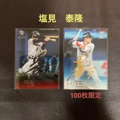 BBM 東京ヤクルトスワローズ　塩見泰隆選手　箔サインカードセット