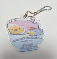 すみっコぐらし 上越市立水族博物館うみがたり アクリルキーホルダー　とんかつ ①