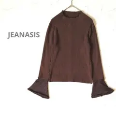 ジーナシス JEANASIS 袖ラメニットリブトップス F ブラウンのサムネイル