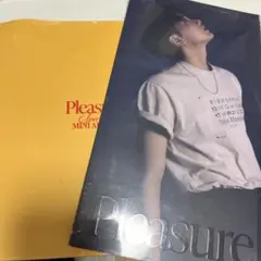 treasure Pleasure 未開封 ジュンギュ