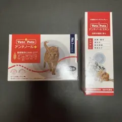 猫用 ロイヤルカナン ウェット インスティンクティブ 72個(12個入り×6箱) ロイヤルカナン インスティンクティブ ゼリー 猫専用ウェットフード 成猫用