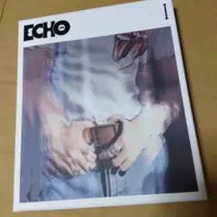 JIN ECHO BTS