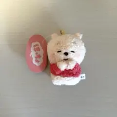 ディズニーストア ほっちょぬいぐるみ プーさん