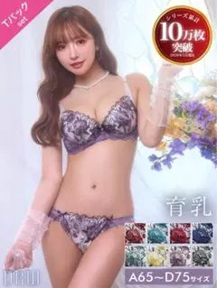 【D65】DRW 育乳ブラジャー Tバックセット（パープル）※値下げ不可のサムネイル
