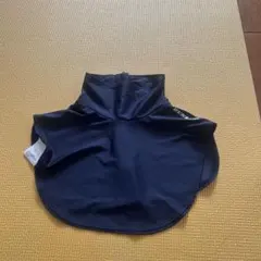 Item thumbnail for item 29667a09-9c6e-40ea-bfd3-bc73e7a9578b