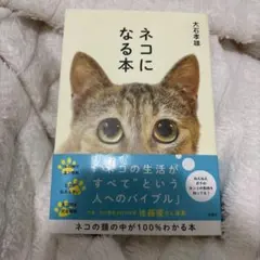 ネコになる本　大石孝雄