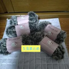 ドリームキャット 21