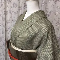 裂取りに毘沙門 青海波模様 薄抹茶色 小紋 袋名古屋帯 セット