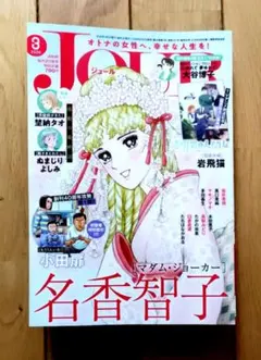 2026年最新】レディコミ まとめ売りの人気アイテム - メルカリ