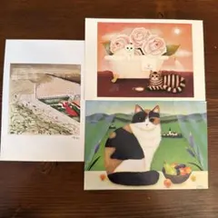 猫のイラスト ポストカード 3枚セット