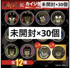 【新品未開封】大カイジ展　ブラインド缶バッジ　ランダム12種　30個セット 新品未開封】大カイジ展 ブラインド缶バッジ ランダム12種 30個セット